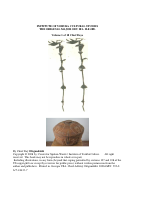 16 ODU MAIORES.pdf